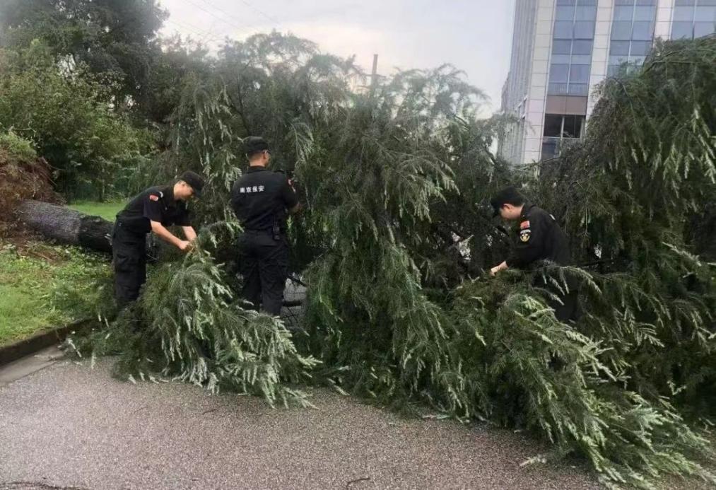 C:/Users/BA/Desktop/風雨過后南京保安迅速行動，恢復安“寧”面貌/1.jpg1